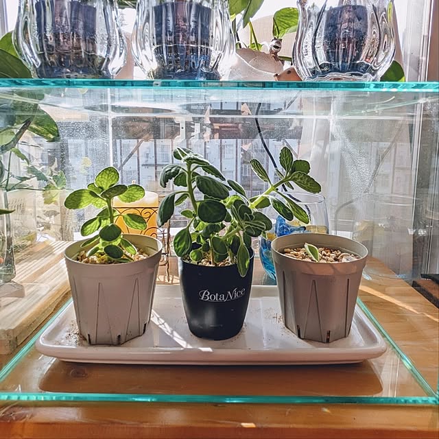 mi-saさんの部屋