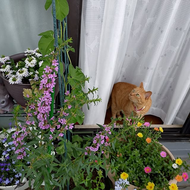 NOAHさんの実例写真