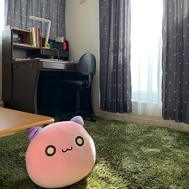 Midoriさんの実例写真
