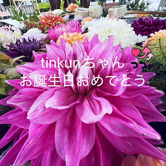 RYOさんの実例写真
