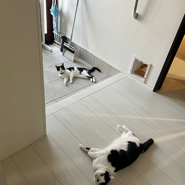 d-chaさんの実例写真