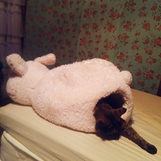 cherrycherryさんの実例写真