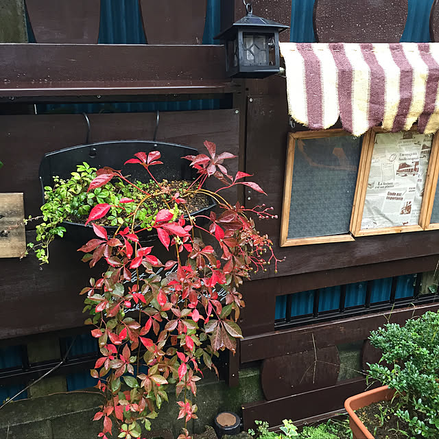 yokochinさんの実例写真