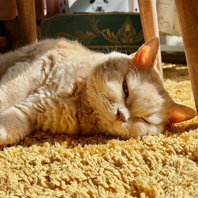 naokoさんの部屋