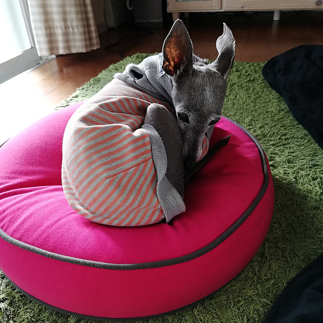 bambiさんの実例写真