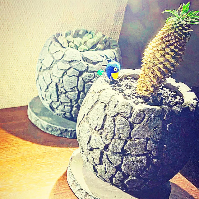 DepHouseさんの実例写真
