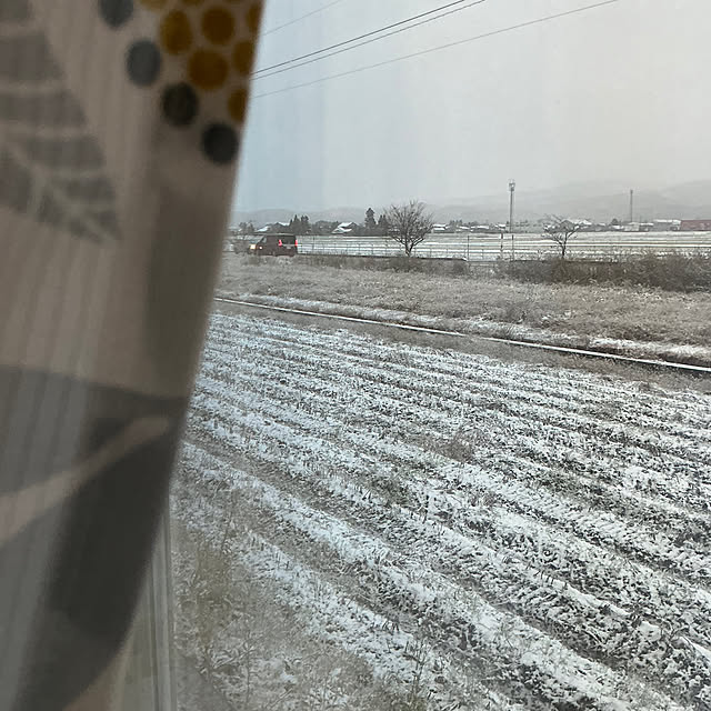 chiiyanさんの部屋