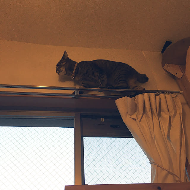 Mさんの実例写真