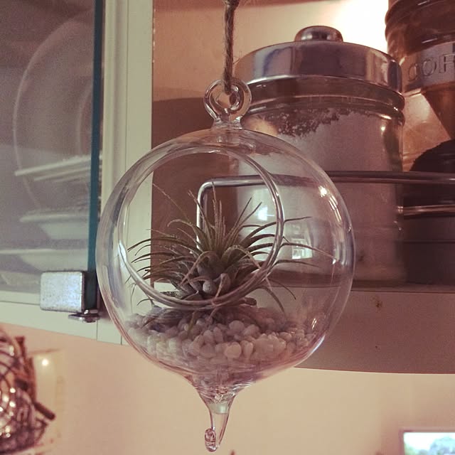 キッチン/観葉植物/ナチュラル/一人暮らし/賃貸のインテリア実例 - 2015-04-21 01:23:11