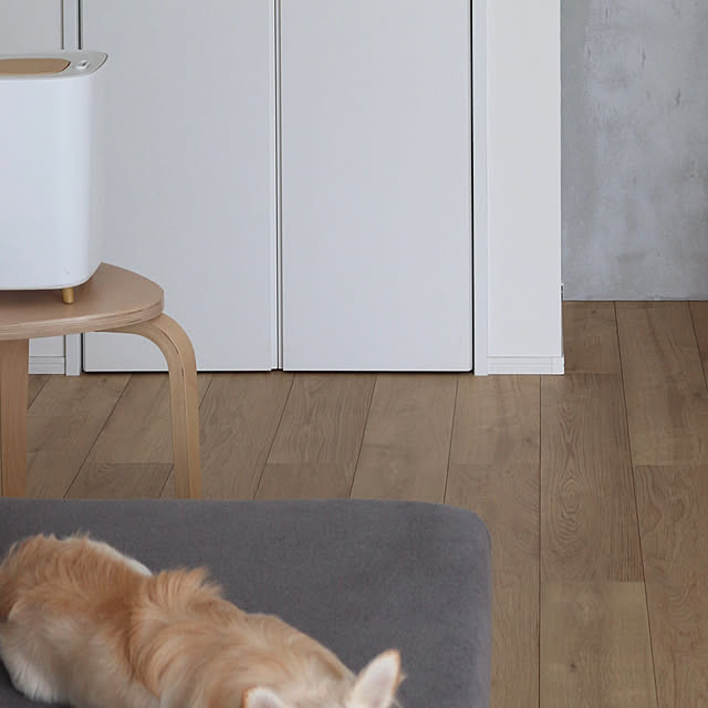 seriさんの実例写真