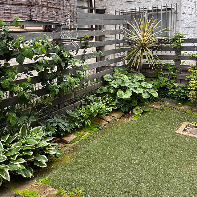 greycatsさんの実例写真