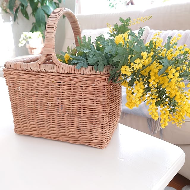 fleur-mamanさんの部屋