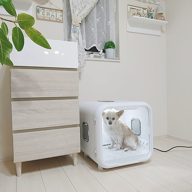 PAOさんの部屋
