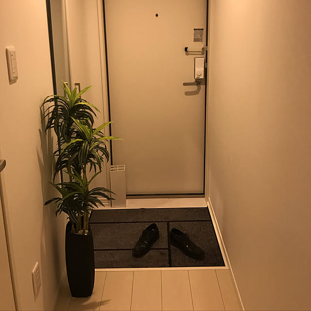 Kiyoshiさんの実例写真