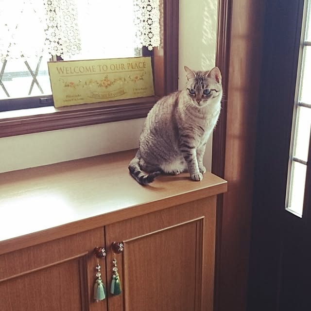 genさんの実例写真