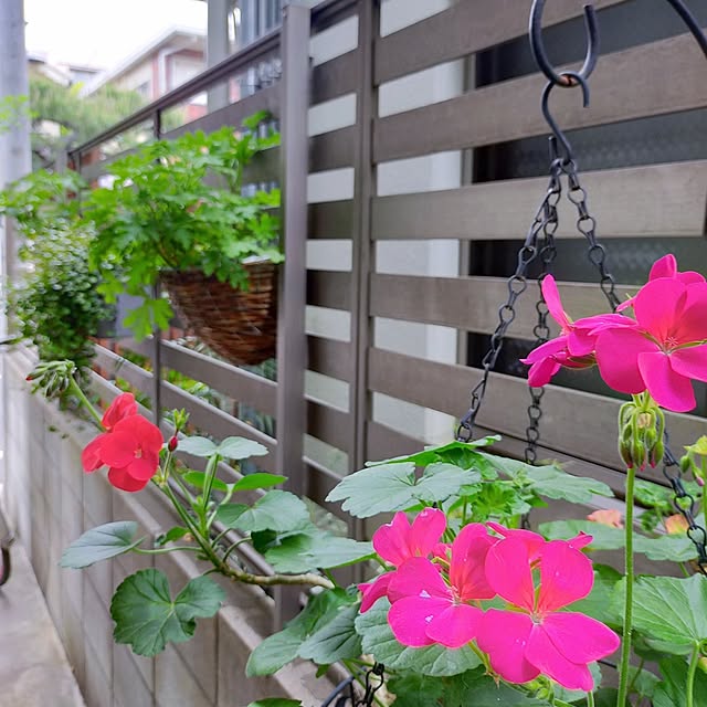 jinさんの部屋