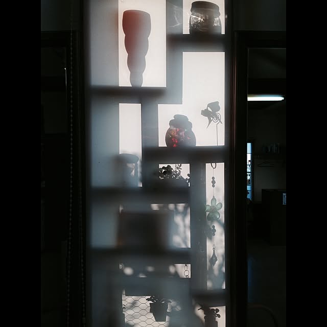 dddhhhさんの実例写真