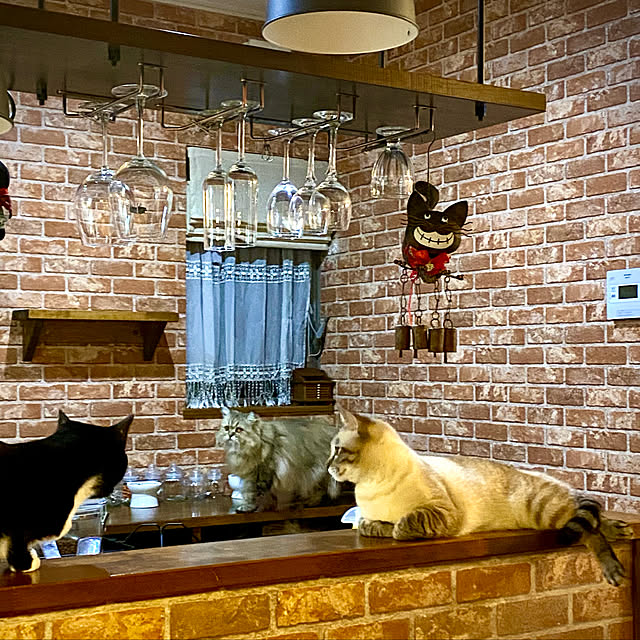 butachanさんの実例写真