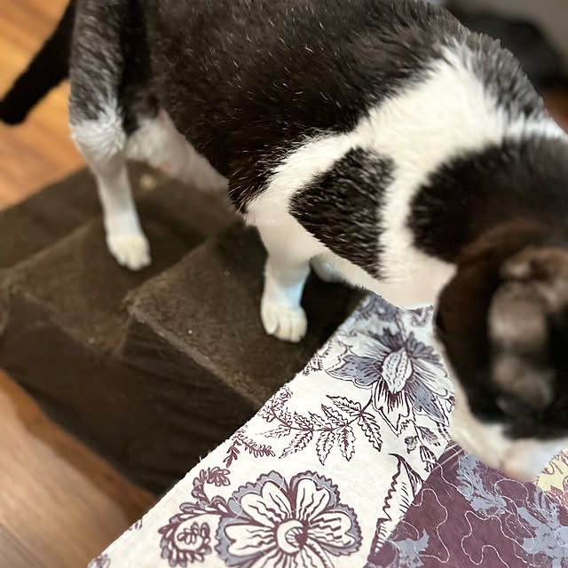 mikeume7さんの実例写真