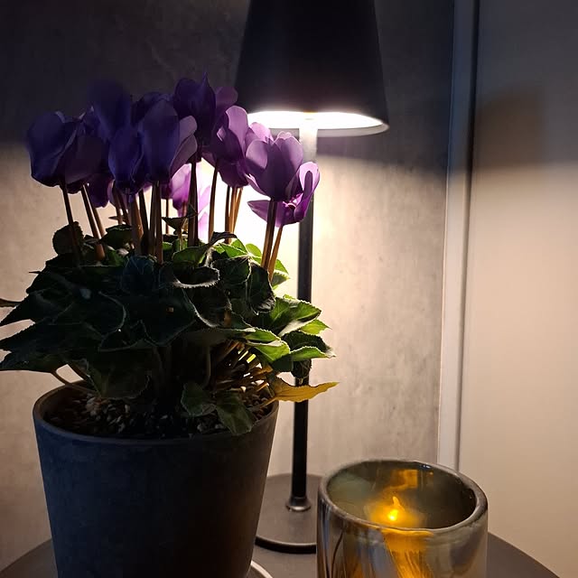 noaさんの部屋