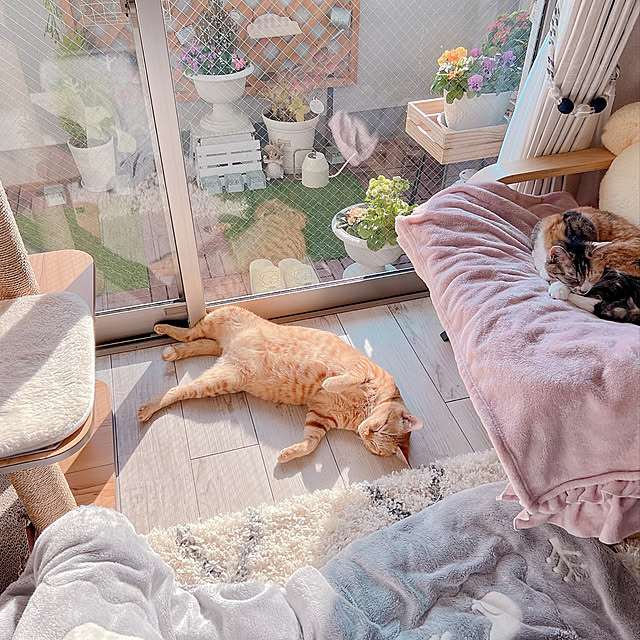 tina_sa_0さんの実例写真