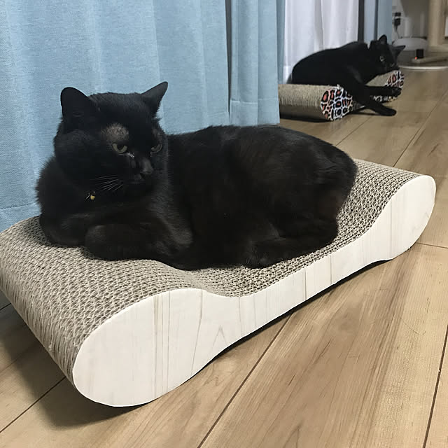 saeさんの実例写真