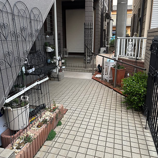 momocchiさんの実例写真