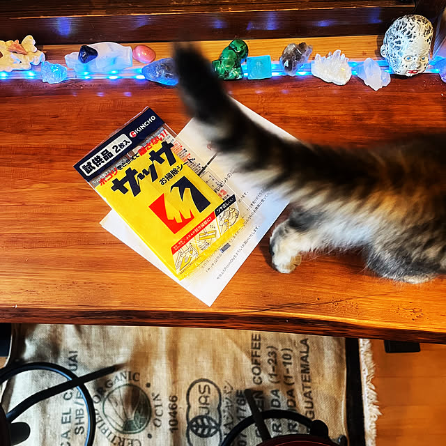 Mさんの部屋