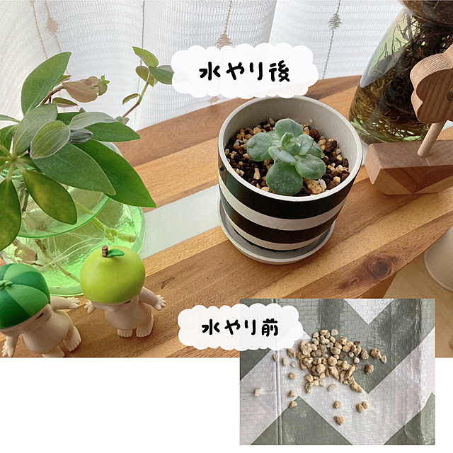 aiaiさんの部屋