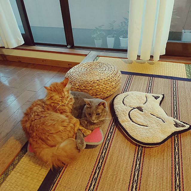 uchizukonyanさんの実例写真