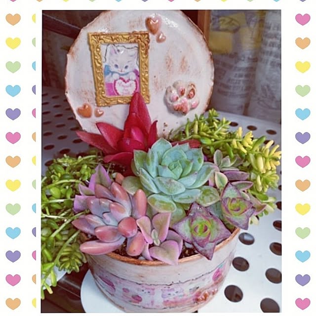 mocomocoさんの部屋