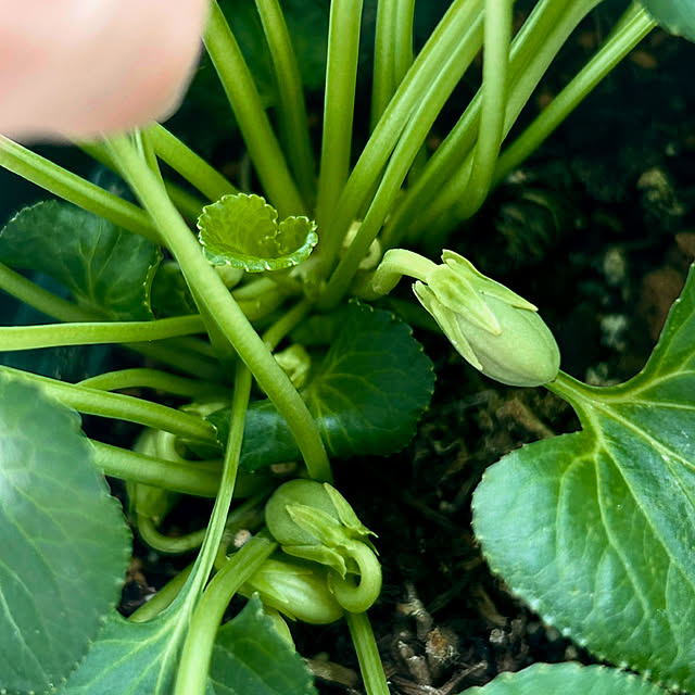 panda.86さんの部屋