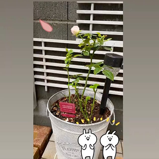 YuuKoさんの実例写真