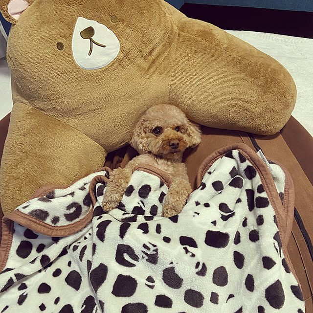 yuukiさんの実例写真