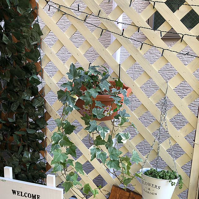 rishenaさんの実例写真