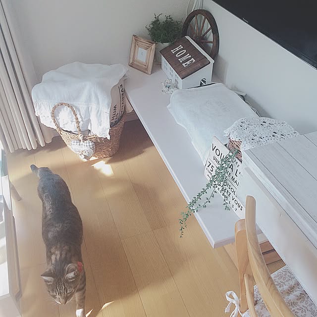 lovecatさんの実例写真
