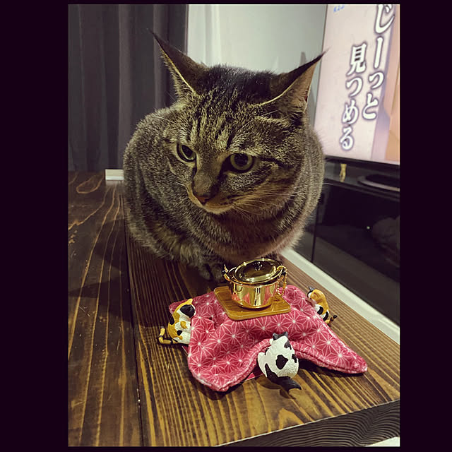 necomuraさんの実例写真