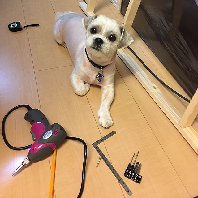 emiさんの実例写真
