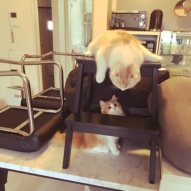 H.Tさんの実例写真