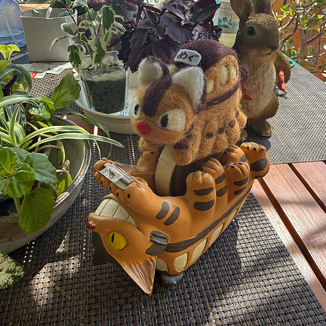 Aqettyさんの部屋