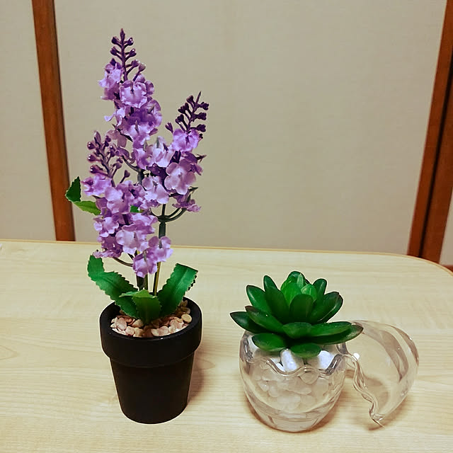 sacchiさんの実例写真