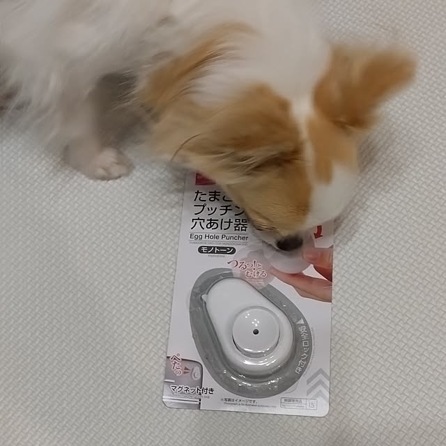 toratanさんの部屋