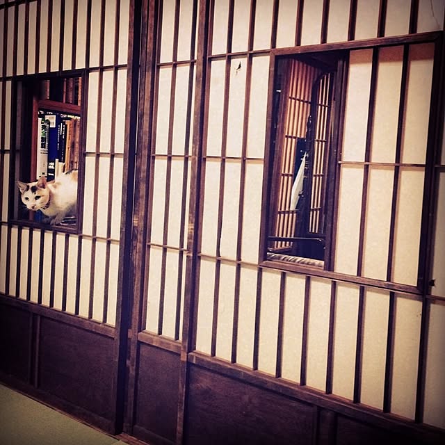 Hazukiさんの実例写真