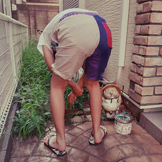 Hitomiさんの実例写真