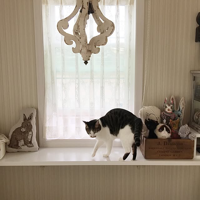 yuchiさんの実例写真