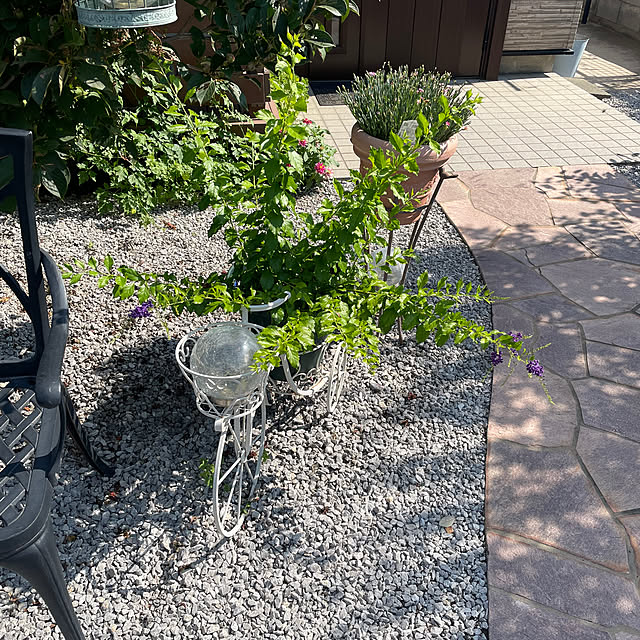 ronronさんの部屋