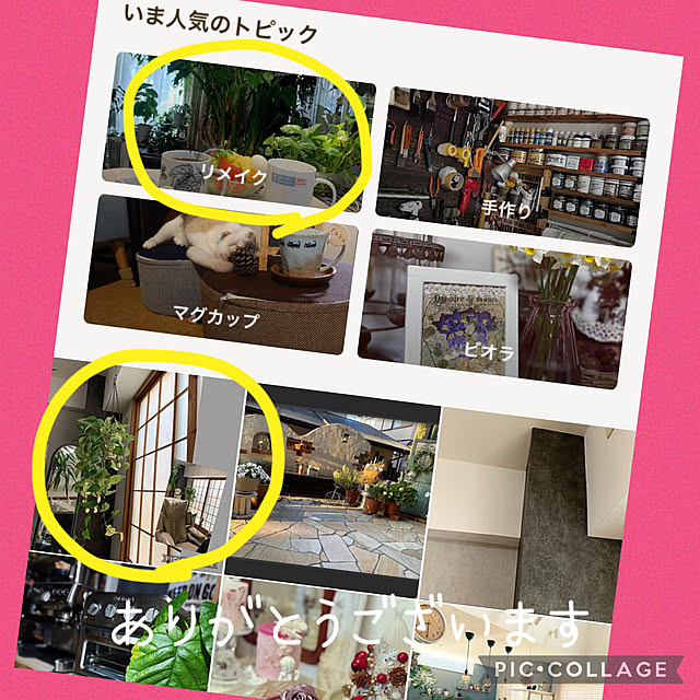 Aqettyさんの実例写真