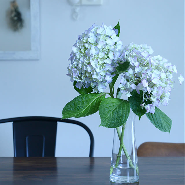 nico_home_igさんの実例写真
