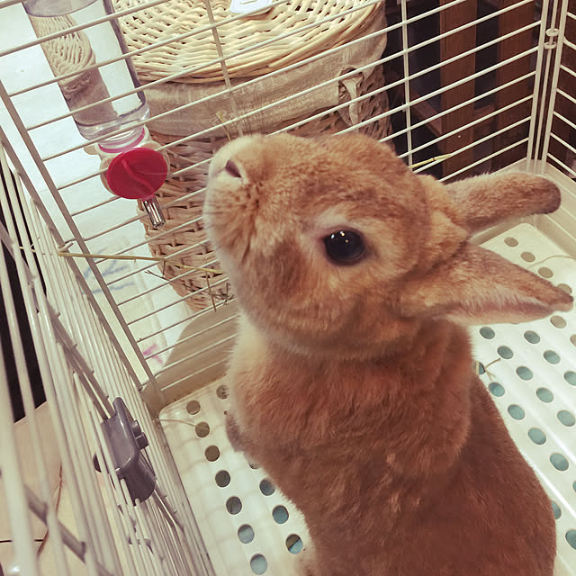 Yasuyukiさんの実例写真