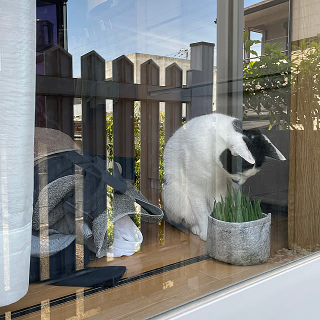nobikoさんの部屋